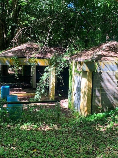 Zoologico - Mayaguez - presuntas condiciones en que se encuentran las facilidades - Foto suministrada 2 - junio 25 2020